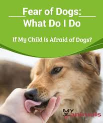 Fear Of Dogs What Do I Do If My Child Is Afraid Of Dogs Many Children Have A Fear Of Dogs In This Article We Ll Gi Fear Of Dogs Dogs And Kids Child Fears