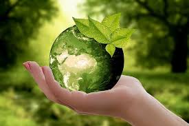 There are many ways that you can celebrate today, and you can use the celebration as a start to building more healthy, environmentally friendly habits. World Environment Day 2021 Theme Host Country Celebrations And Speech Of World Environment Day