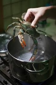Black Blue Steak And Crab How To Cook Crabs At Home Blue Crab Recipes Cooking Crab Crab