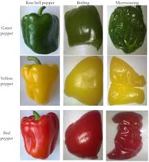 Image result for Capsicum