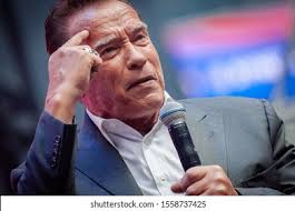 8+ Thousand Arnold Royalty-Free Images, Stock Photos & Pictures