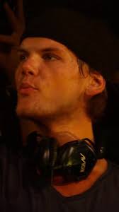 Avicii Penn State Levels