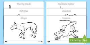 Dingo coloring page from dingo category. Australian Animal Templates Colouring Pages Teacher Made