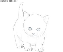 If your kids want to learn drawing of animals they will love this one for sure. How To Draw A Kitty Cat