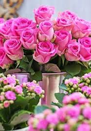 Maybe you would like to learn more about one of these? Tora On Twitter Good Morning Beautiful Flowers I Love Nature Just Like You If The Beautiful Flowers Are In Full Bloom Your Smile Will Bloom Love You All Goodmorningworld Beautifulday Rose Flowerlove