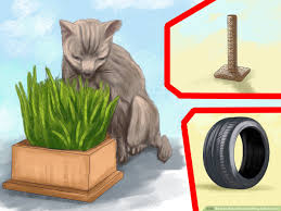 She is really loving it up there. How To Make Window Sitting Safe For Cats 9 Steps With Pictures