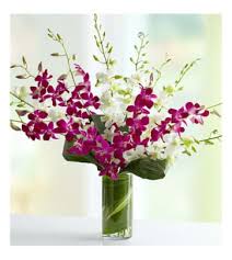Maybe you would like to learn more about one of these? Orchid Arrangements Doral Flower District Design Doral Fl Florist