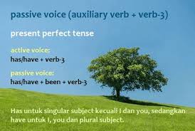 Salah satu contoh kalimat passive voice, antara lain my door was knocked on last night. Passive Voice Present Perfect Tense Rumus Dan Contoh Kalimat