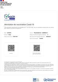 Comme l'indique le site du ministère de la santé, chaque injection entraine la remise d'un certificat de vaccination y compris pour les. Vaccination Covid 19 Une Attestation De Vaccination Qui Peut Etre Importee Dans Tousanticovid Carnet Service Public Fr