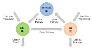 Ecosystem Analysis Bioninja