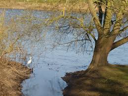Gedling Village Local History & Preservation Society