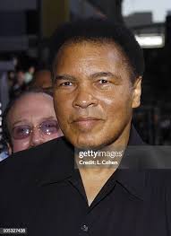 2,567 Ali Cohen Photos & High Res Pictures