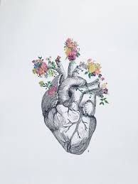 Heart Anatomy Flowers Anatomical Heart Art Heart Drawing Anatomical Heart Drawing