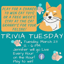 Just like there are dog people in th. The Cat Granny Just One Day Left Join Me Tomorrow Every Hour On The Hour I Will Go Live On Facebook With Trivia Questions Get Three Right And You Win A