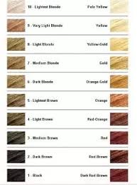 Schwarzkopf professional blond me blonde toning. How To Get Rid Of Brassy Hair Using A Hair Dye Not A Toner Quora