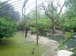 Jardin Des Plantes Aviary Interior Aviariesideas Dieren