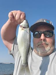 Humorous post about a car horn and a broken-down car