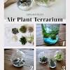 1 air plant terrarium measuring 3 1/2 inch height, 3 inch in diameter and a 1 1/2 inch opening. 1