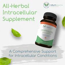 Image result for Cryptolepis products