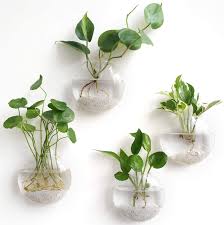 See more ideas about vase, wall vase, decor. Amazon Com Mkono Wall Hanging Glass Terrariums Planter Oblate Flower Vase For Hydroponics Plants Home Office Living Room Decor Set Of 4 Garden Outdoor