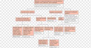 In a few people, applying pressure to the carotid sinus. Common Carotid Artery Png Images Pngwing