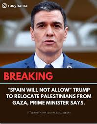 Liz Cheney/Adam Kinzinger Against Trump