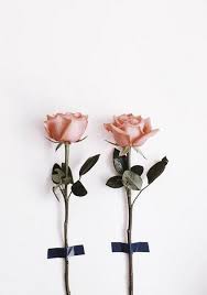 Vintagepales Flower Aesthetic Pink Flowers Wallpaper Flower Lockscreen