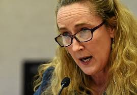 Lake Elmo City Council member Anne Smith target of Facebook hoax