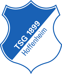Overview of all signed and sold players of club tsg hoffenheim for the current season. Tsg 1899 Hoffenheim Wikipedia