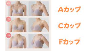 えー かっ ぷ どのくらい