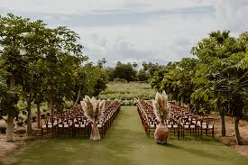 The verano group, baja california developer: Flora Farms A Charming Wedding Venue Farm In Cabo Vivid Occasions Vivid Occasions