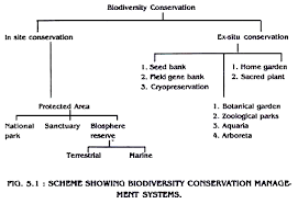 Biodiversity Types Importance And Conservation Methods