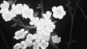 Let out your inner weeb and post anime stuff here (reposts are allowed)! Black And White Anime Background Best Wallpaper