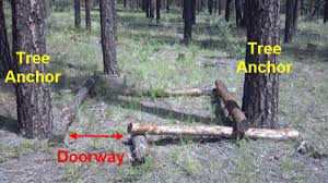 See full list on wikihow.com Diy Log Fort Clubhouse In The Woods Teediddlydee