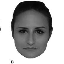 Sample (A) neutral stimulus used in Studies 1A and 1B, (B) sad morphed...