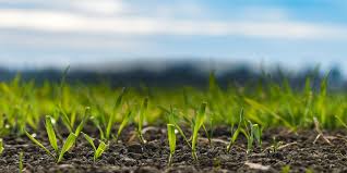 Grants for Nonprofits