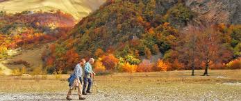 Caratteristiche botaniche, possibili utilizzi di i fiori dello zafferano sono stupendi: Associazione Giardino Mediterraneo Passeggiata Alla Ricerca Di Fiori Spontanei