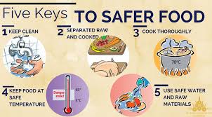 Image result for food safety images