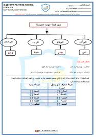 اللغة العربية ورقة عمل الهمزة المتوسطة على الواو للصف الخامس مع الإجابات ملفاتي