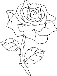 Rose Clip Art By White Lions Rose Coloring Pages Flower Line Drawings Roses Drawing