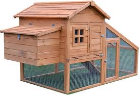 Anche i termini di consegna. Pollaio I 5 Modelli Migliori Da Acquistare Con Un Click Animalidifamiglia It