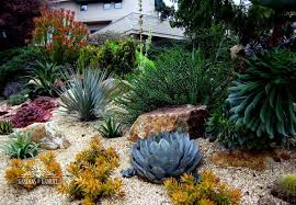 San Luis Obispo Landscaper S Drought Tolerant Portfolio Succulent Landscape Design Succulent Landscaping Drought Tolerant Landscape Design