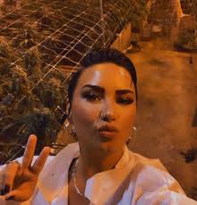 Demi Lovato really loves weed! The singer, who has struggled with alcohol  and drug addiction, has been very vocal about being “California sober”  since a near fatal overdose in 2018. Demi still