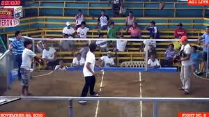 Banyak orang lebih memilih sabung ayam online sebagai salah satu alternatif terbaru dalam melakukan judi adu ayam karena alasan keamanan dan kenyamanan tanpa perlu datang langsung ke arena tarung ayam. Video Sabung Ayam Seru Dan Sadis Video Dailymotion