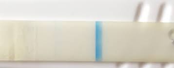 Sainsbury S Test I Don T Know If These Are Positive