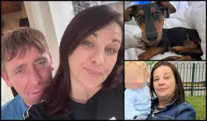 I'm just letting you know about this animal abusing lowlife who appeared in  Brighton Magistrates Court today. He's called Joshua Schofield and he lives  in Hangleton. He was witnessed pinning a daschund