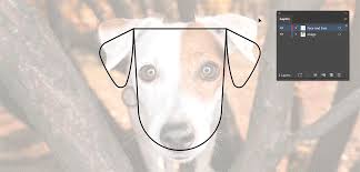 Attendees will receive a drawn digital picture of their pup in badass style and will have the option to purchase merchandise featuring the illustration. Create A Flat Vector Illustration Of Your Pets In Illustrator