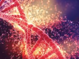 Cf affects about 35,000 people in the united states. O Que E Fibrose Quistica Quando Um Gene Se Altera