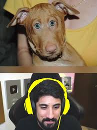 Los animales si tuvieran los ojos enfrente #curiosidades #animales  #comparacion