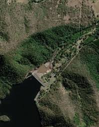 Image result for Digitaria gymnostachys